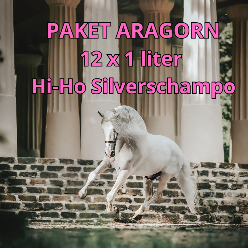 Galloping Goop 12x1 "Aragorn" Silverschampo